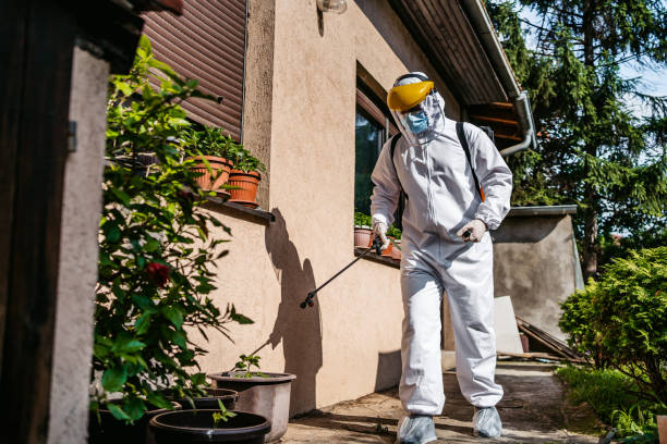 Professional Pest Control in Point, TX