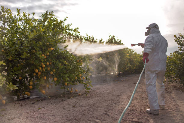 Best Best Pest Control Near Me  in Point, TX