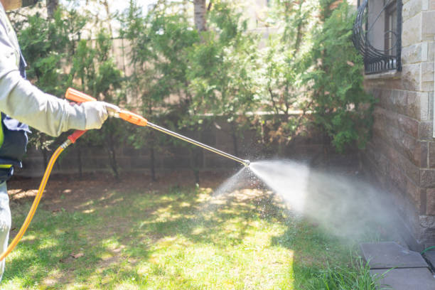 Best Commercial Pest Control Services  in Point, TX