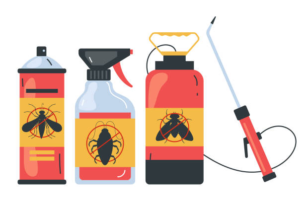 Best Affordable Pest Control Services  in Point, TX