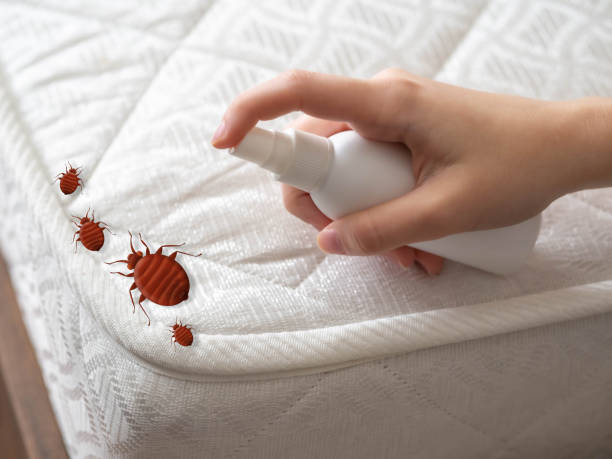Best Emergency Pest Control  in Point, TX