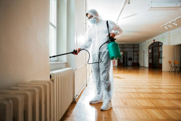 Best Termite Control Services  in Point, TX