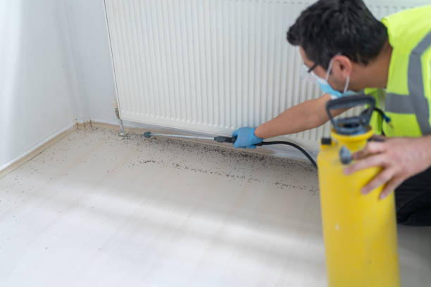 Flea Control Services in Point, TX